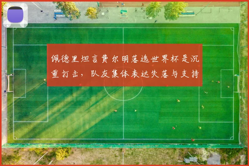 佩德里坦言费尔明落选世界杯是沉重打击，队友集体表达失落与支持